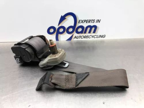 Veiligheidsgordel rechts-achter-8175805