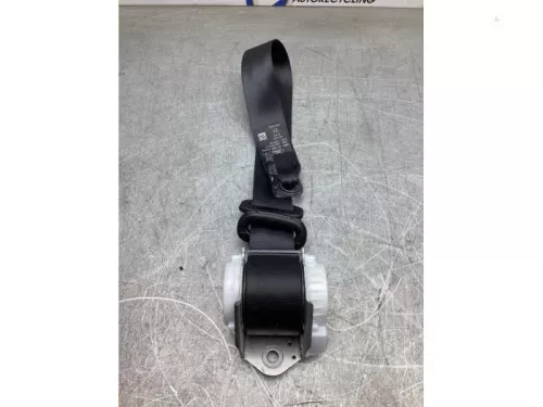 Veiligheidsgordel rechts-achter-7921707