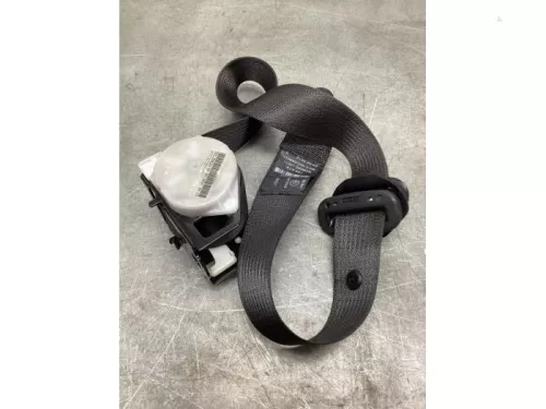 Veiligheidsgordel rechts-achter-8140572