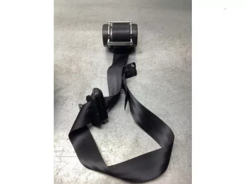 Veiligheidsgordel rechts-achter-7874030