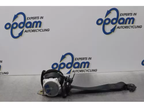 Veiligheidsgordel rechts-achter-7890136