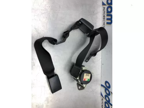 Veiligheidsgordel rechts-achter-6938958