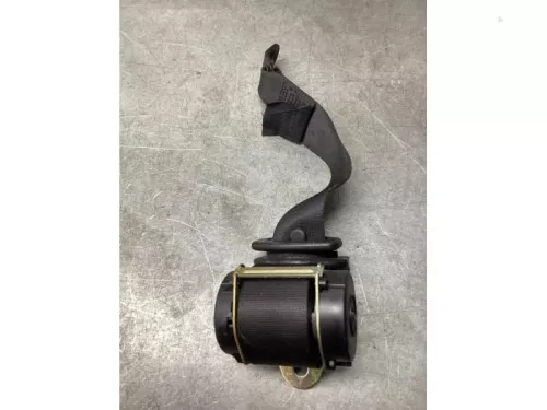 Veiligheidsgordel rechts-achter-8241240