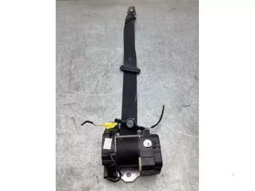 Veiligheidsgordel rechts-achter-6125457