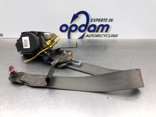 Veiligheidsgordel rechts-voor-8175805