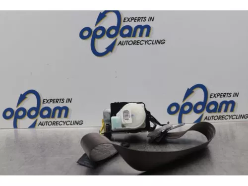 Veiligheidsgordel rechts-voor-7854047