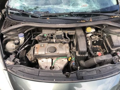 Versnellingsbak-8070385