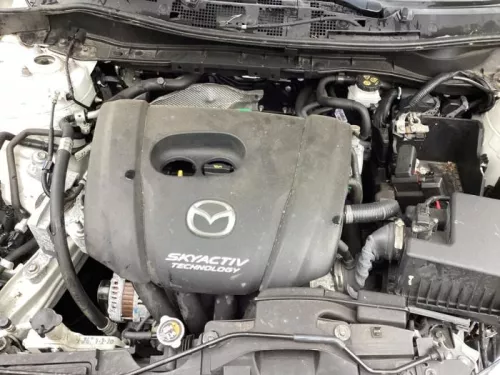 Versnellingsbak-7974996