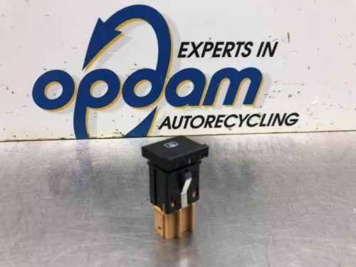 Verwarmingsschakelaar Achterruit-8118445