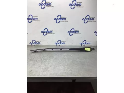 Voorruitlijst-8103542