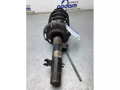 Schokdemperpoot rechts-voor-8313484