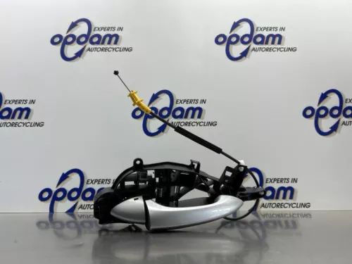 Portiergreep 4Deurs links-voor-8290914