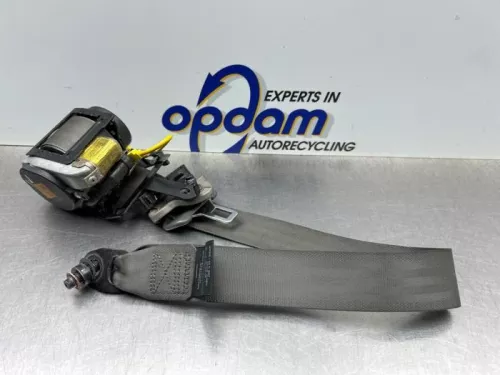 Veiligheidsgordel links-voor-8337943