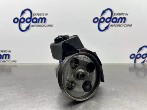 Stuurbekrachtiging Pomp-8325985