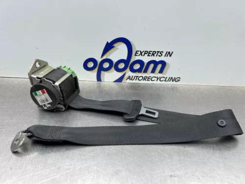 Veiligheidsgordel links-achter-8075768