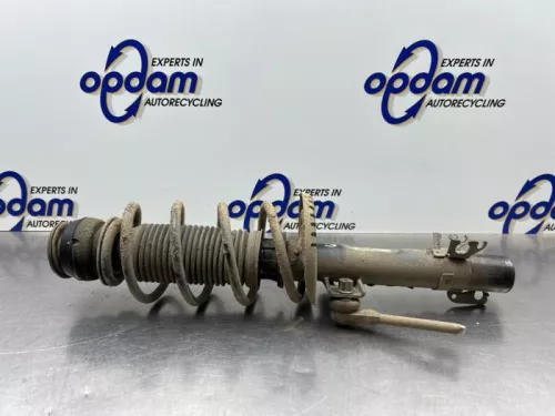 Schokdemperpoot links-voor-8049452