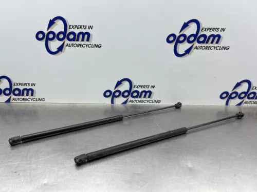 Set Gasdempers Achterklep-8182090