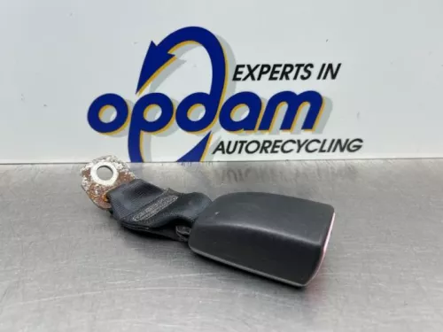 Veiligheidsgordel Insteek links-achter-8331029