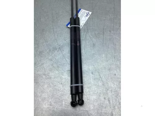 Gasdemperset Kofferdeksel-8285315