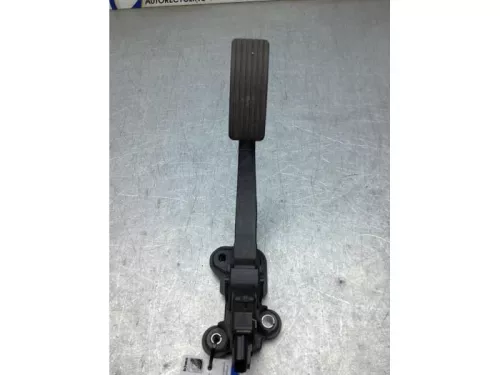 Gaspedaalpositie Sensor-8125612