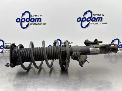 Schokdemperpoot links-voor-8081996