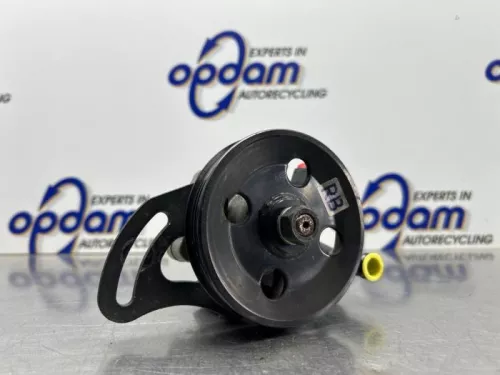 Stuurbekrachtiging Pomp-8341987