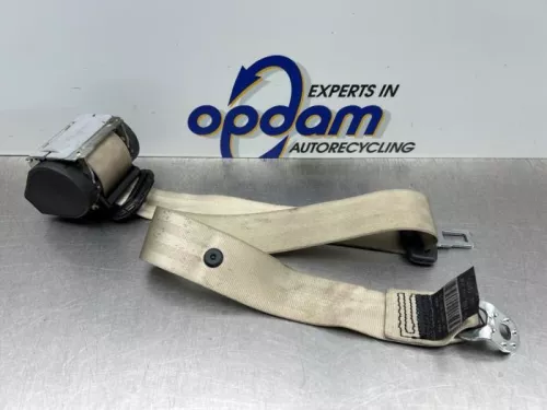 Veiligheidsgordel midden-achter-8210764