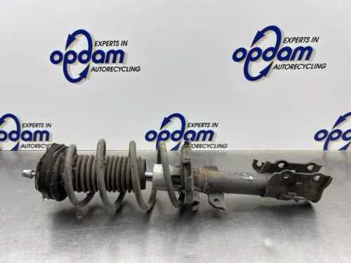 Schokdemperpoot links-voor-8238819