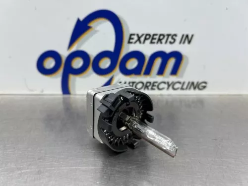 Xenon Starter-8182090