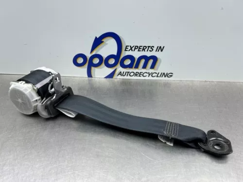 Veiligheidsgordel links-achter-8321154