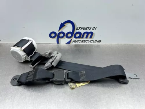 Veiligheidsgordel midden-achter-8321154