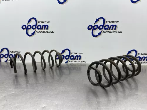 Schroefveer achter-8321154