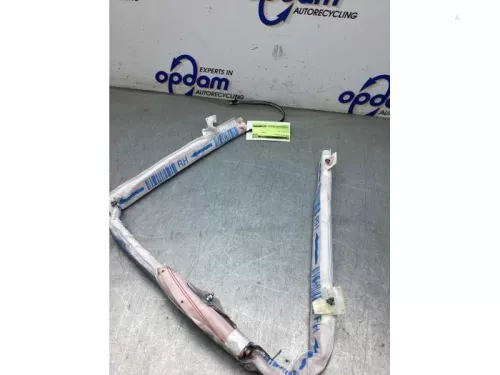 Airbag hemel rechts-8313484