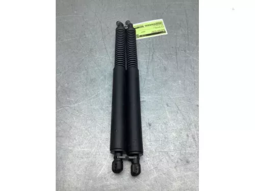 Set Gasdempers Achterklep-8242724