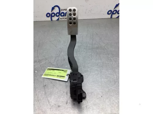 Gaspedaalpositie Sensor-8242724
