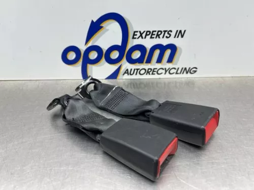 Veiligheidsgordel Insteek links-achter-8187513