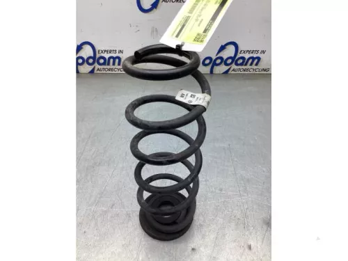 Schroefveer achter-8247887