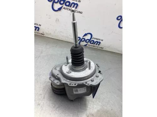 Rembekrachtiger-8247887