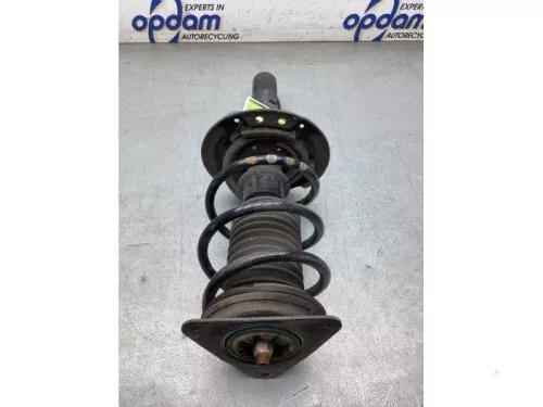 Schokdemperpoot rechts-voor-8119817