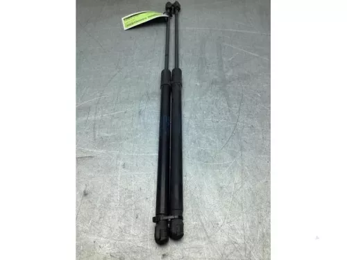 Set Gasdempers Achterklep-8078770