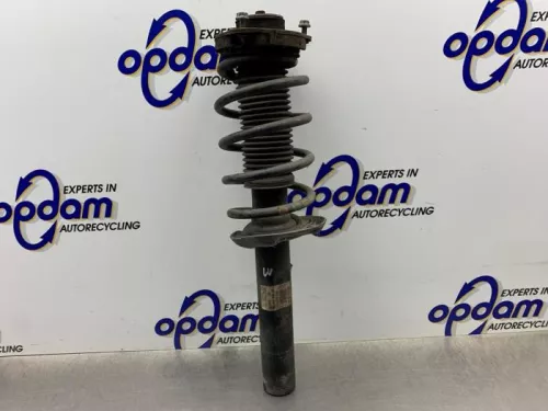 Schokdemperpoot links-voor-8280715