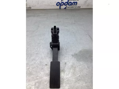Gaspedaalpositie Sensor-8254528