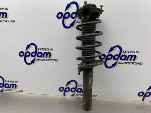 Schokdemperpoot rechts-voor-8251867