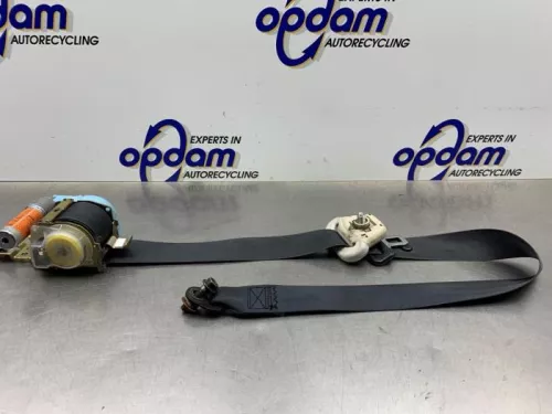 Veiligheidsgordel links-voor-8347919