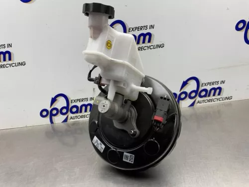 Rembekrachtiger-8341294