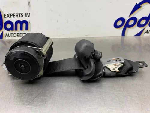 Veiligheidsgordel midden-achter-8348466