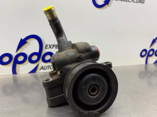 Stuurbekrachtiging Pomp-8347445