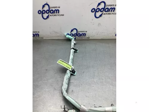 Airbag hemel links-8338489