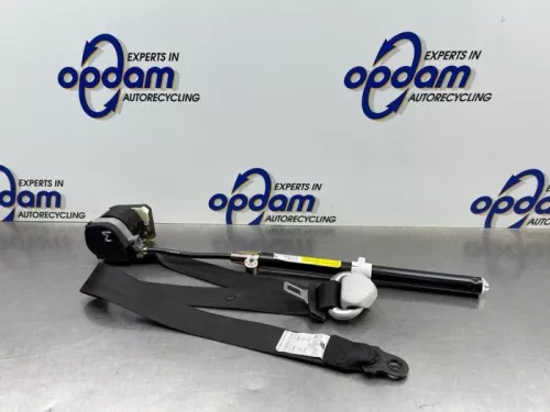 Veiligheidsgordel links-voor-8317289