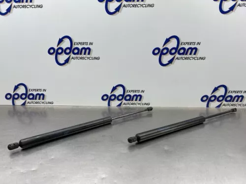 Set Gasdempers Achterklep-8317289